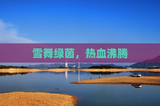 雪舞绿茵，热血沸腾