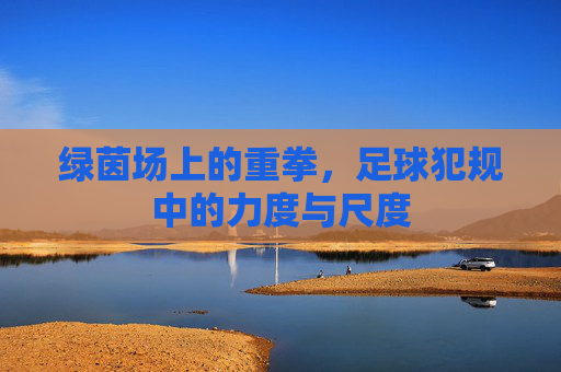 绿茵场上的重拳,足球犯规中的力度与尺度