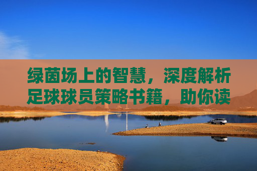 绿茵场上的智慧,深度解析足球球员策略书籍,助你读懂比赛