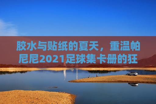 胶水与贴纸的夏天，重温帕尼尼2021足球集卡册的狂欢
