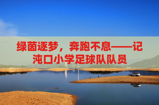 绿茵逐梦,奔跑不息——记沌口小学足球队队员