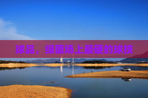 球品，绿茵场上最硬的球技