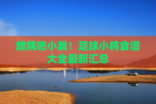 燃烧吧小翼！足球小将食谱大全最新汇总