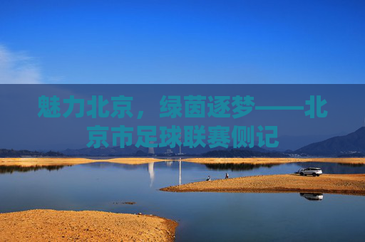 魅力北京,绿茵逐梦——北京市足球联赛侧记
