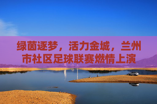 绿茵逐梦,活力金城,兰州市社区足球联赛燃情上演