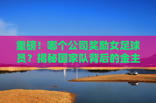 重磅!哪个公司奖励女足球员?揭秘国家队背后的金主与深意