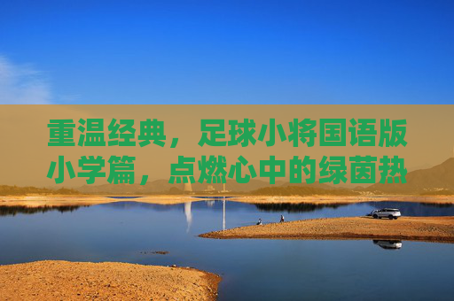 重温经典，足球小将国语版小学篇，点燃心中的绿茵热血