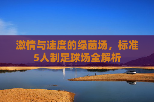 激情与速度的绿茵场,标准5人制足球场全解析