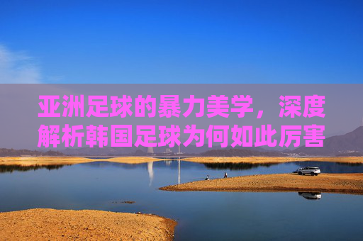 亚洲足球的暴力美学,深度解析韩国足球为何如此厉害