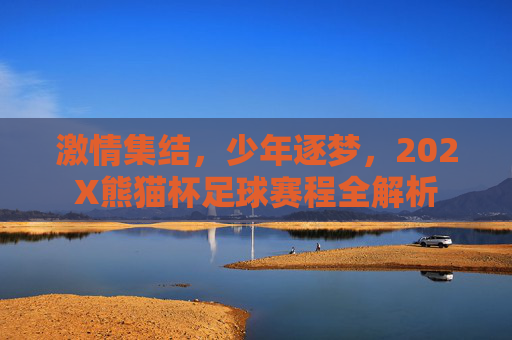 激情集结,少年逐梦,202X熊猫杯足球赛程全解析