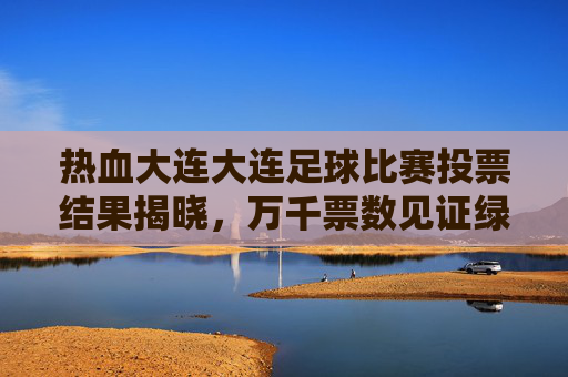 热血大连大连足球比赛投票结果揭晓，万千票数见证绿茵场上的英雄时刻