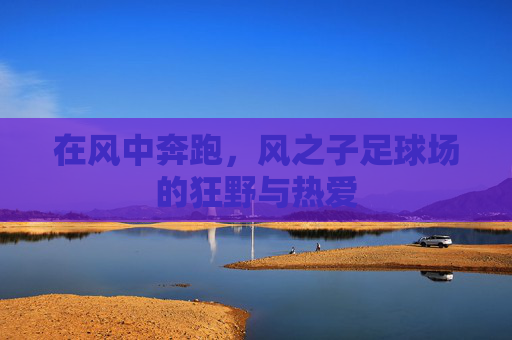 在风中奔跑,风之子足球场的狂野与热爱
