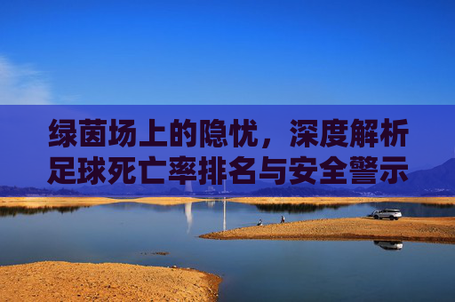 绿茵场上的隐忧，深度解析足球死亡率排名与安全警示