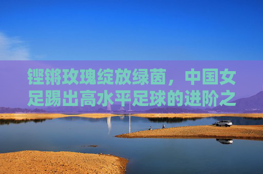 铿锵玫瑰绽放绿茵，中国女足踢出高水平足球的进阶之路