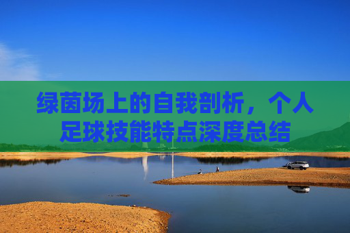 绿茵场上的自我剖析，个人足球技能特点深度总结