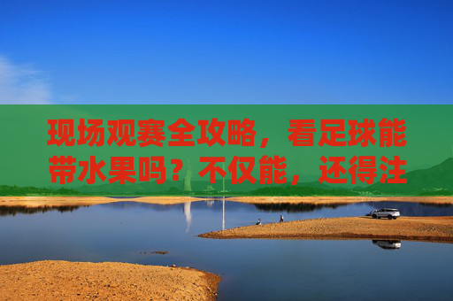 现场观赛全攻略，看足球能带水果吗？不仅能，还得注意这些细节！