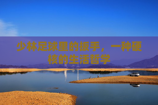 少林足球里的扳手，一种硬核的生活哲学