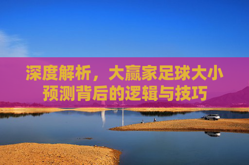 深度解析,大赢家足球大小预测背后的逻辑与技巧