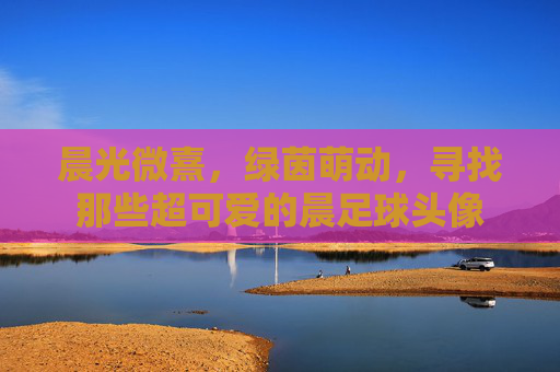 晨光微熹，绿茵萌动，寻找那些超可爱的晨足球头像