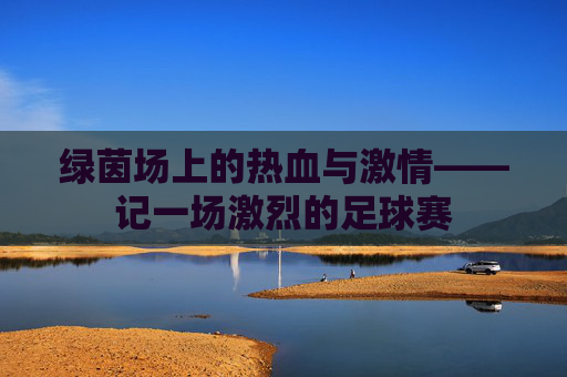 绿茵场上的热血与激情——记一场激烈的足球赛