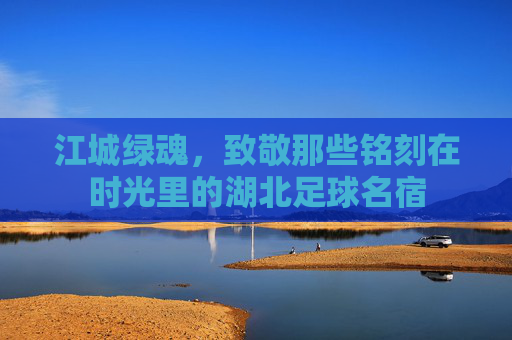 江城绿魂，致敬那些铭刻在时光里的湖北足球名宿