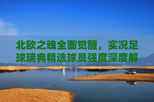 北欧之魂全面觉醒,实况足球瑞典精选球员强度深度解析与阵容搭配指南