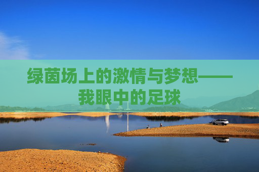 绿茵场上的激情与梦想——我眼中的足球