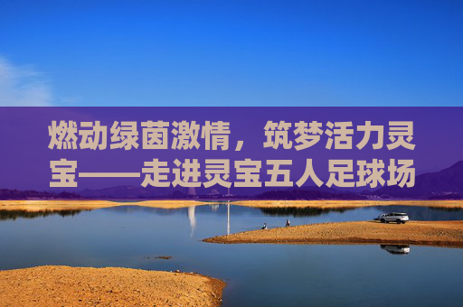 燃动绿茵激情，筑梦活力灵宝——走进灵宝五人足球场