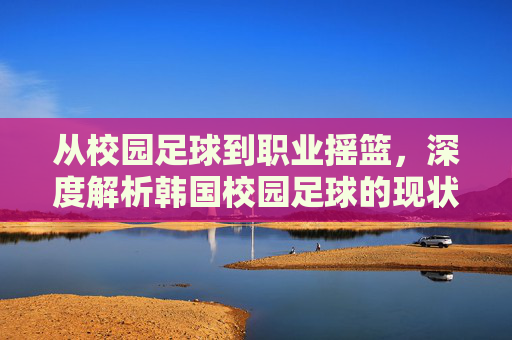 从校园足球到职业摇篮，深度解析韩国校园足球的现状与启示