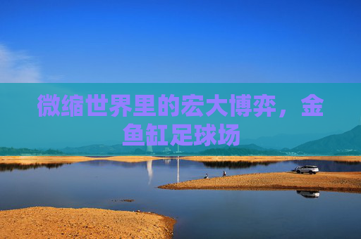 微缩世界里的宏大博弈，金鱼缸足球场