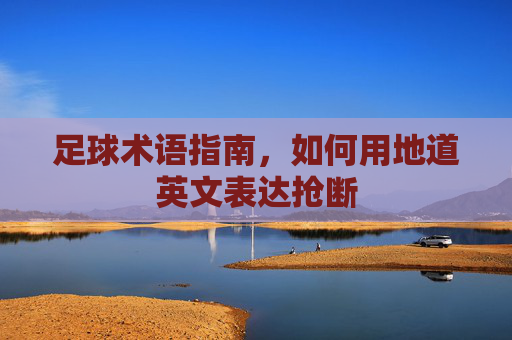 足球术语指南,如何用地道英文表达抢断
