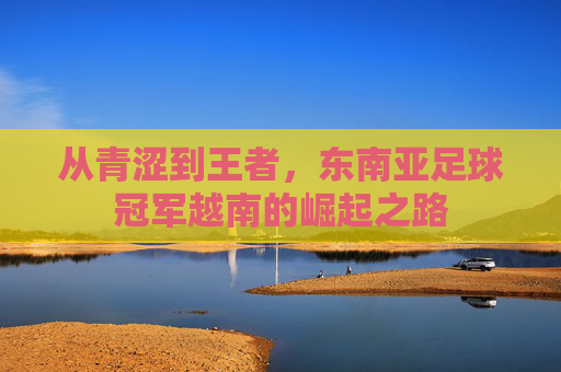 从青涩到王者,东南亚足球冠军越南的崛起之路
