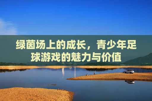 绿茵场上的成长，青少年足球游戏的魅力与价值