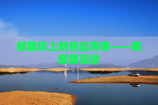 绿茵场上的热血青春——我爱踢足球