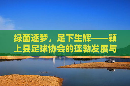 绿茵逐梦,足下生辉——颖上县足球协会的蓬勃发展与绿茵情怀