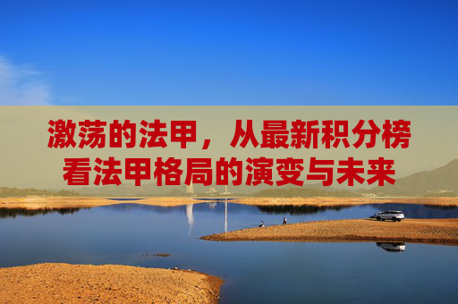 激荡的法甲，从最新积分榜看法甲格局的演变与未来