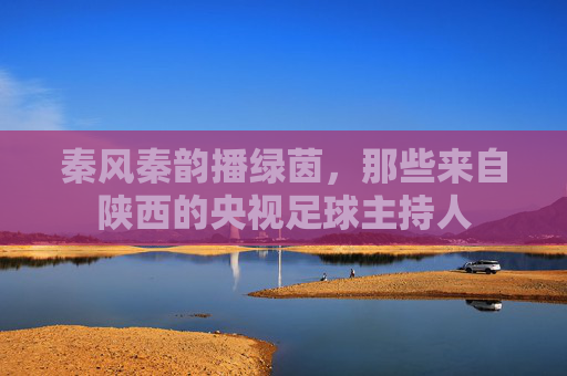 秦风秦韵播绿茵,那些来自陕西的央视足球主持人