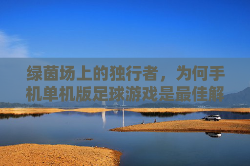 绿茵场上的独行者,为何手机单机版足球游戏是最佳解药?