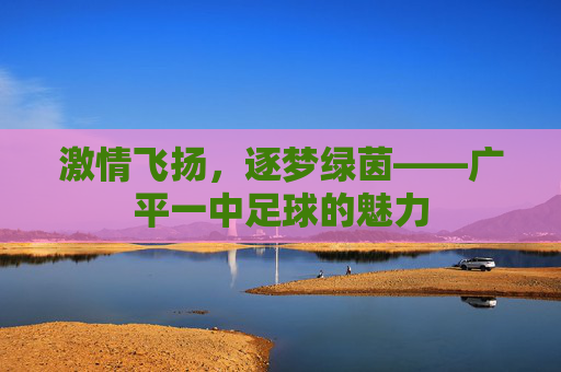 激情飞扬，逐梦绿茵——广平一中足球的魅力