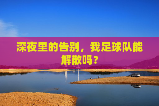 深夜里的告别,我足球队能解散吗?