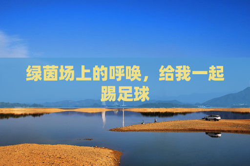 绿茵场上的呼唤，给我一起踢足球