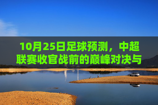 10月25日足球预测,中超联赛收官战前的巅峰对决与独家解读