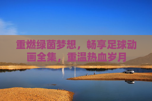 重燃绿茵梦想,畅享足球动画全集,重温热血岁月