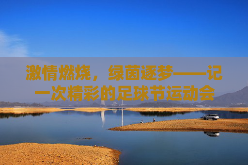 激情燃烧,绿茵逐梦——记一次精彩的足球节运动会