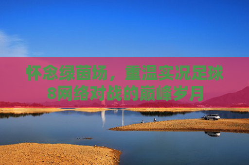 怀念绿茵场,重温实况足球8网络对战的巅峰岁月