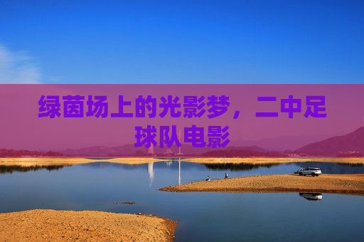 绿茵场上的光影梦，二中足球队电影