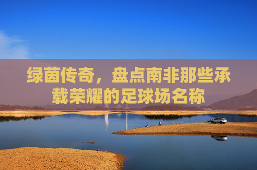 绿茵传奇，盘点南非那些承载荣耀的足球场名称