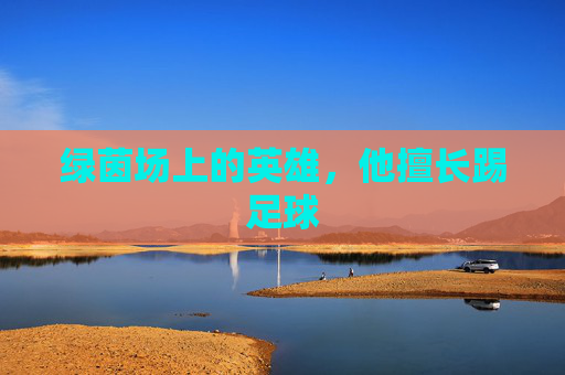 绿茵场上的英雄，他擅长踢足球