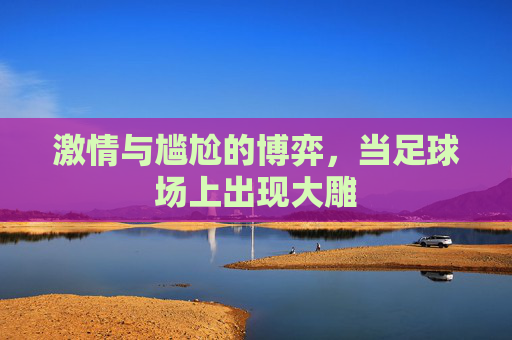 激情与尴尬的博弈,当足球场上出现大雕
