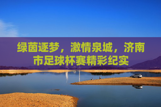 绿茵逐梦，激情泉城，济南市足球杯赛精彩纪实